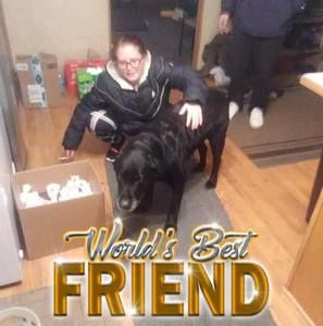 Meet your Posher, Sam